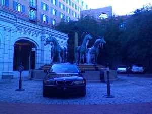 Frozen horses in Charleston, SC?